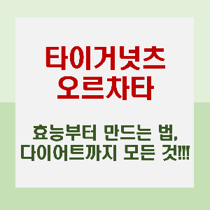 유당 불내증에도 OK! 타이거넛츠 오르차타의 놀라운 효능