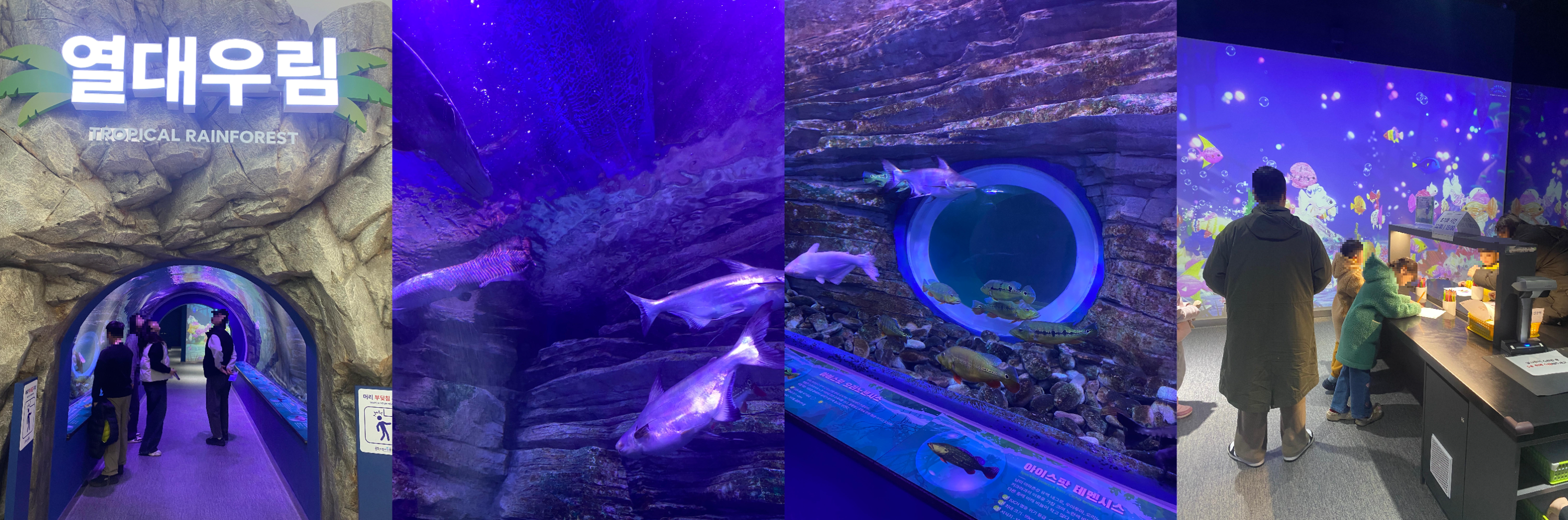 충주 아쿠아리움 1층 열대우림