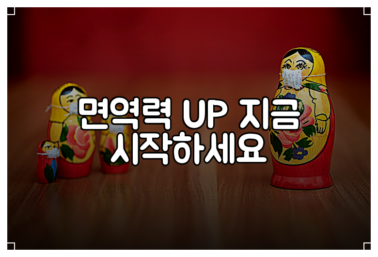 면역력 UP 지금 시작하세요