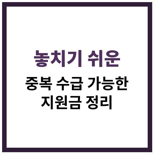 놓치기 쉬운 중복 수급 가능한 정부 지원금 정리 이미지