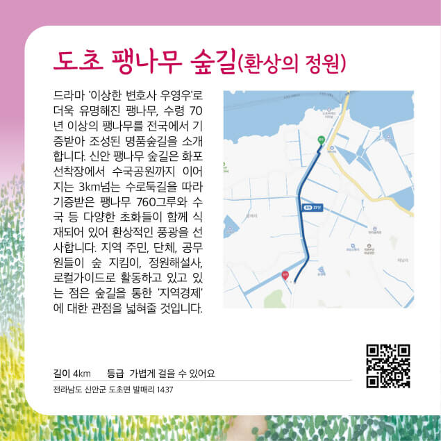 [명품숲길 50선] 전남 신안군 도초 팽나무 숲길(환상의 정원), 드라마 우영우 속 팽나무를 만나다