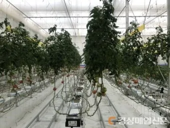 농업 교육 수강 농업기술센터 온라인 강좌 자격증 실습 정보_7