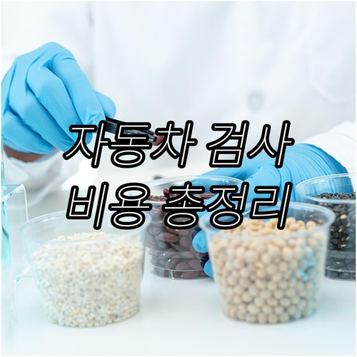 자동차 검사 필수! 비용, 결제, 준..