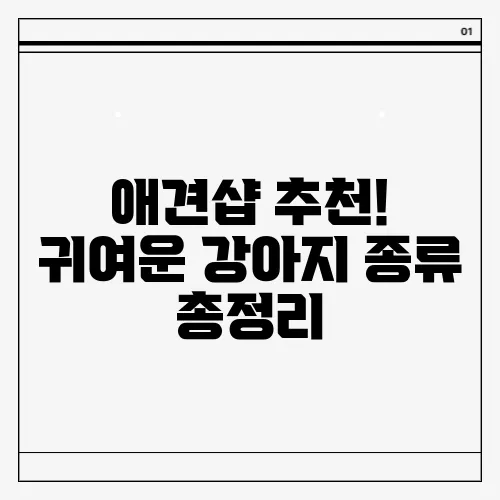 애견샵 추천! 귀여운 강아지 종류 총정리