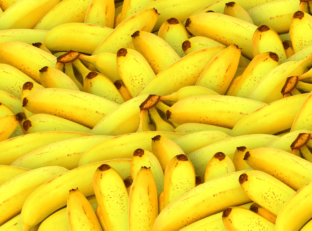 수면의 질을 높이는 방법