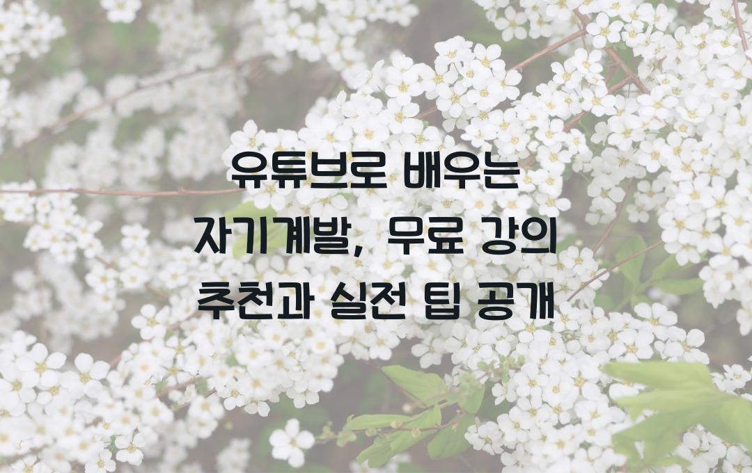 유튜브로 배우는 자기계발, 무료 강의 추천