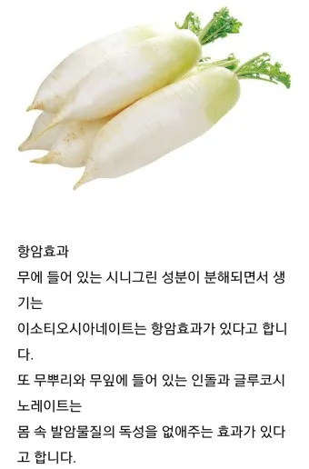 무우 효능 부작용 섭취 방법_6