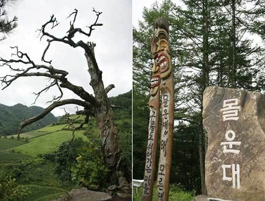 정선20
