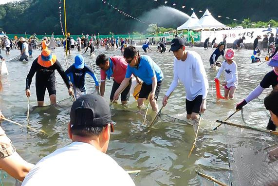 2025 영덕황금은어축제 완벽 가이드 ❘ 경북 산불 이후 첫 대규모 여름축제