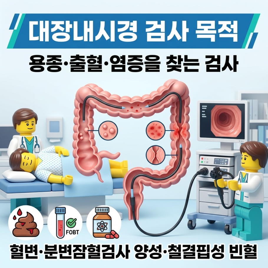 대장내시경 검사 목적과 혈변, 분변잠혈검사 양성, 철결핍성 빈혈 및 주요 병변을 나타낸 레고 스타일 블로그 대표 썸네일 이미지