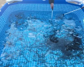 양평 산수유마을 빙어축제_29