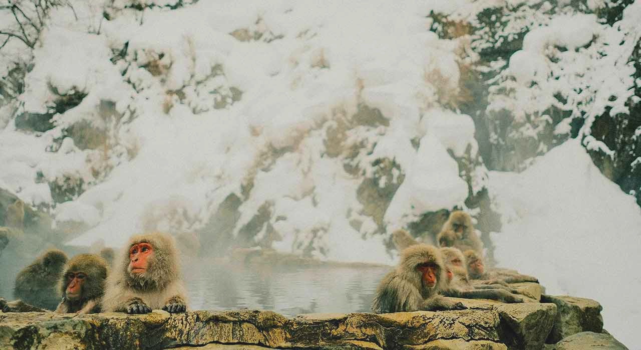 아리마 온천 거리의 전통 료칸과 조용한 골목 풍경. [ⓒPexels &lsquo;Shashank Brahmavar&rsquo;]