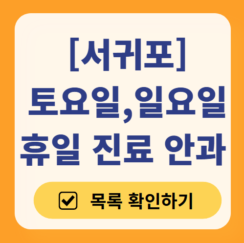서귀포 토요일 일요일 문 여는 안과 리스트 ❘ 토요일, 주말, 공휴일 진료 영업 병원 목록 찾기