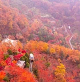 화담숲 예약: 한국의 고요한 수목원을 방문하는 방법&amp;#44; 입장료&amp;#44; 그리고 계절별 팁