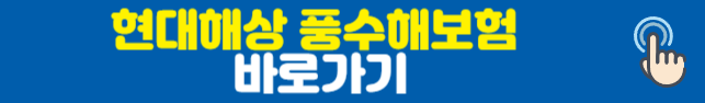 현대해상 풍수해보험