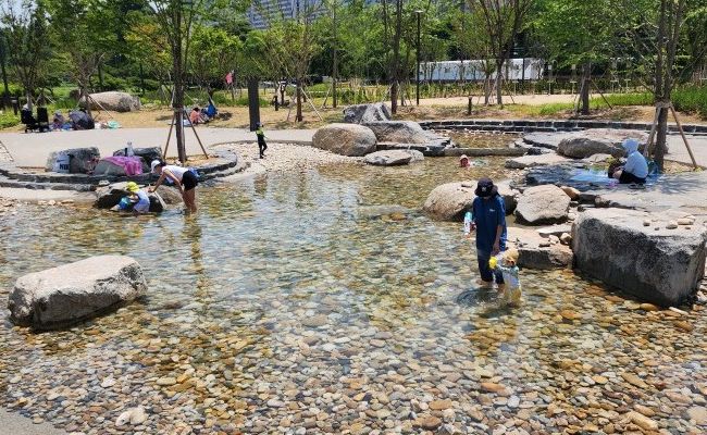 잠실 자연형 물놀이장