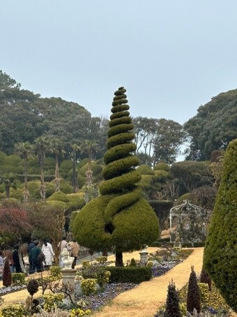 멋지게-구성되어진-외도-향나무