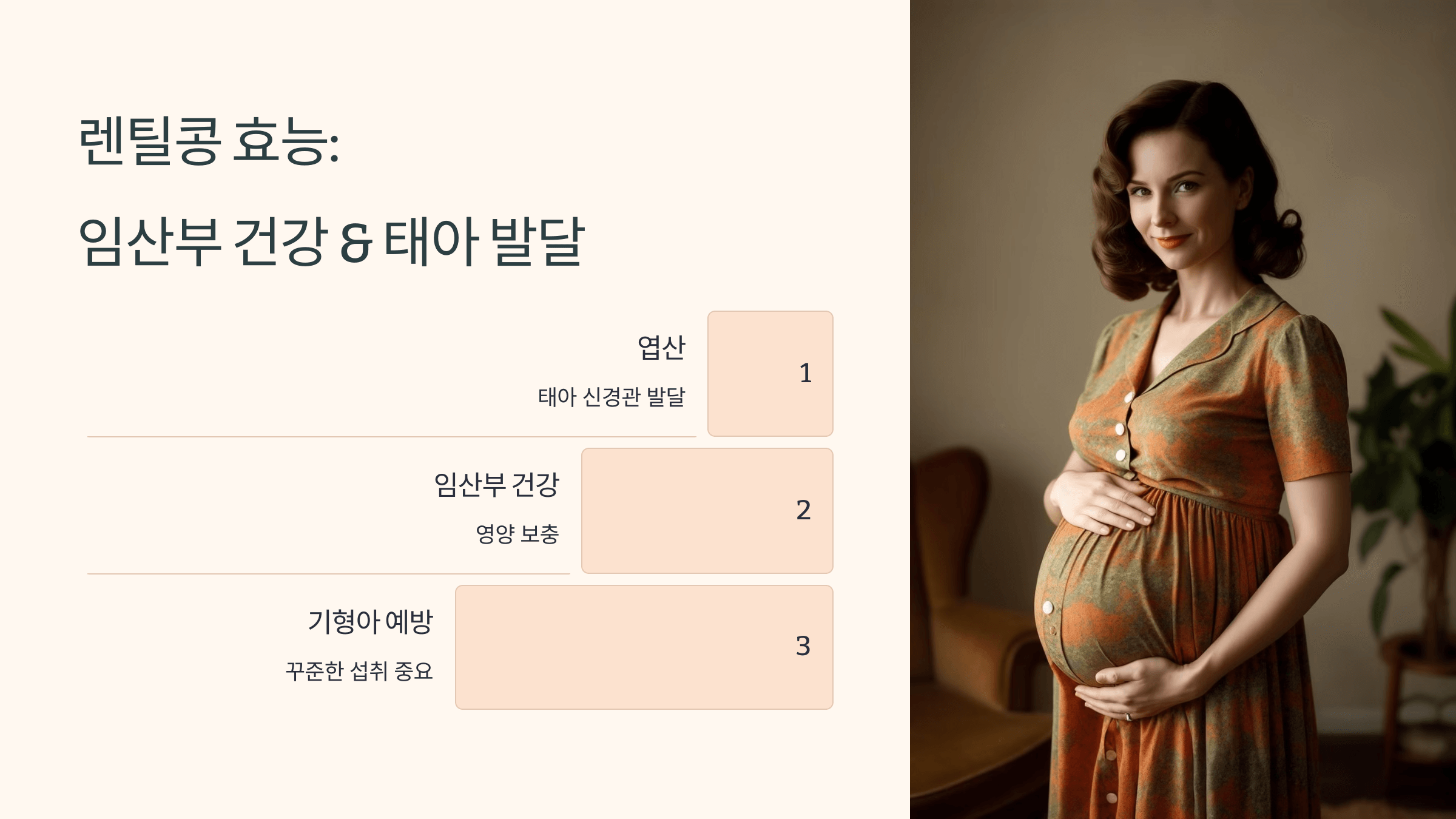 렌틸콩 사진입니다.