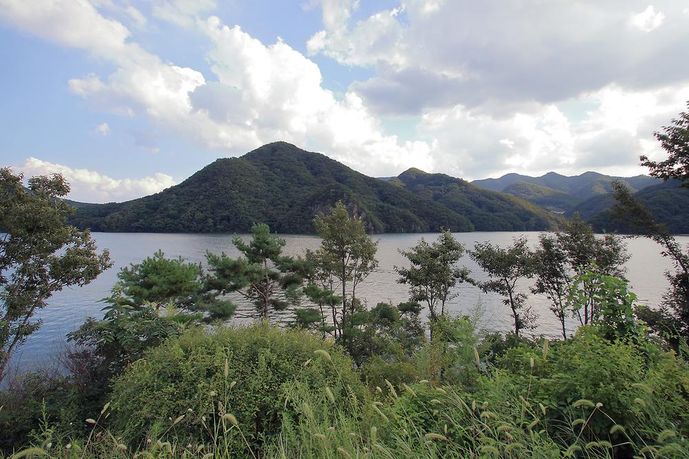 충주시 충주호캠핑월드 소개