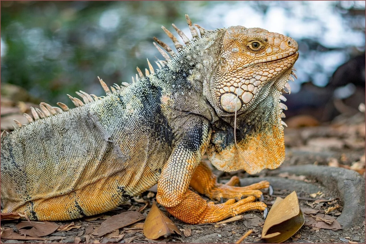 은행 예금금리비교