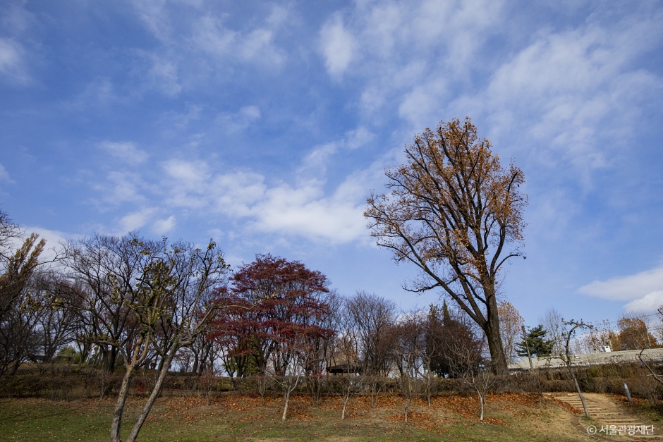 2024 가을 여행지 단풍 명소 추천