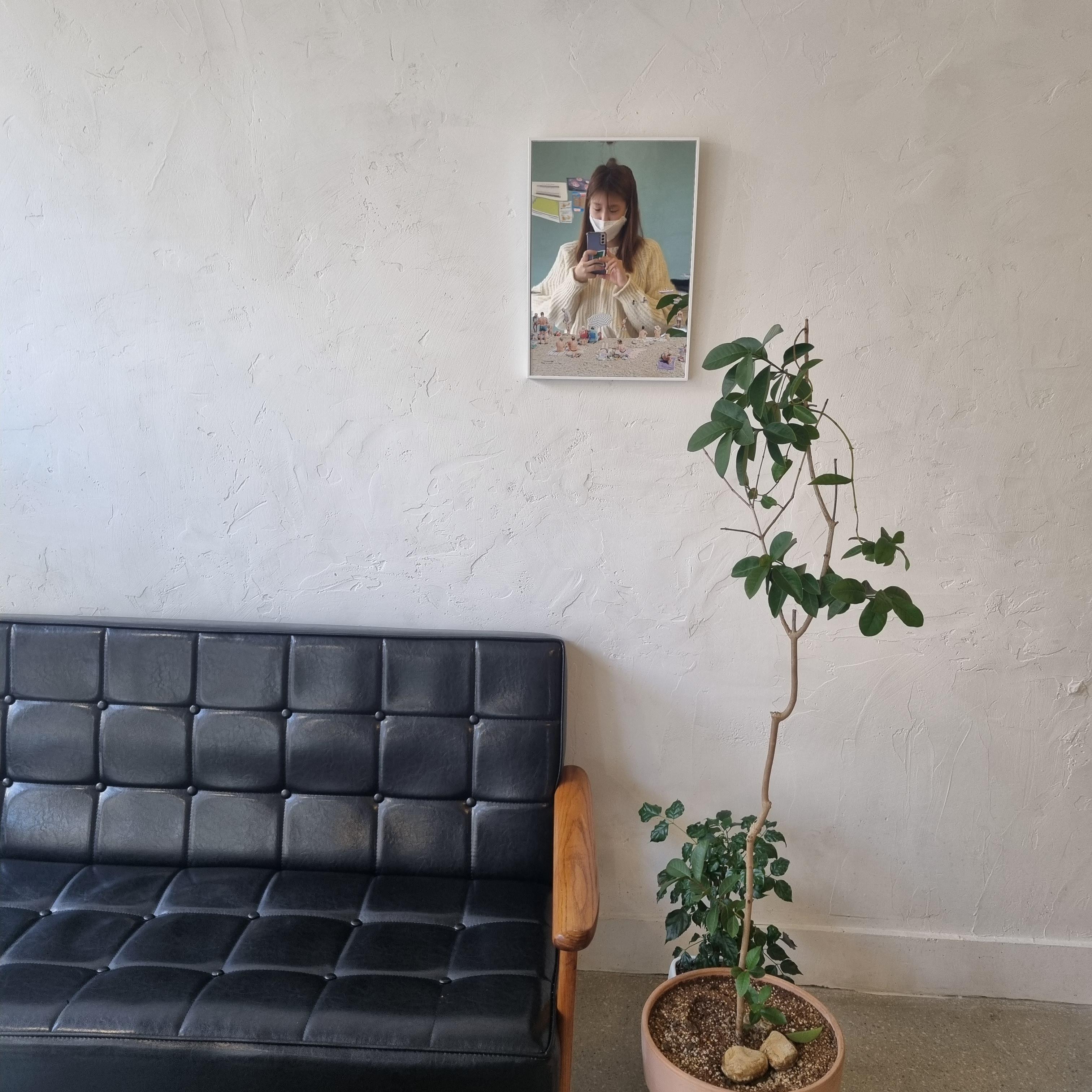 카페 하지 쇼파