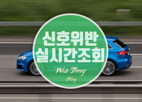 신호위반 실시간 조회