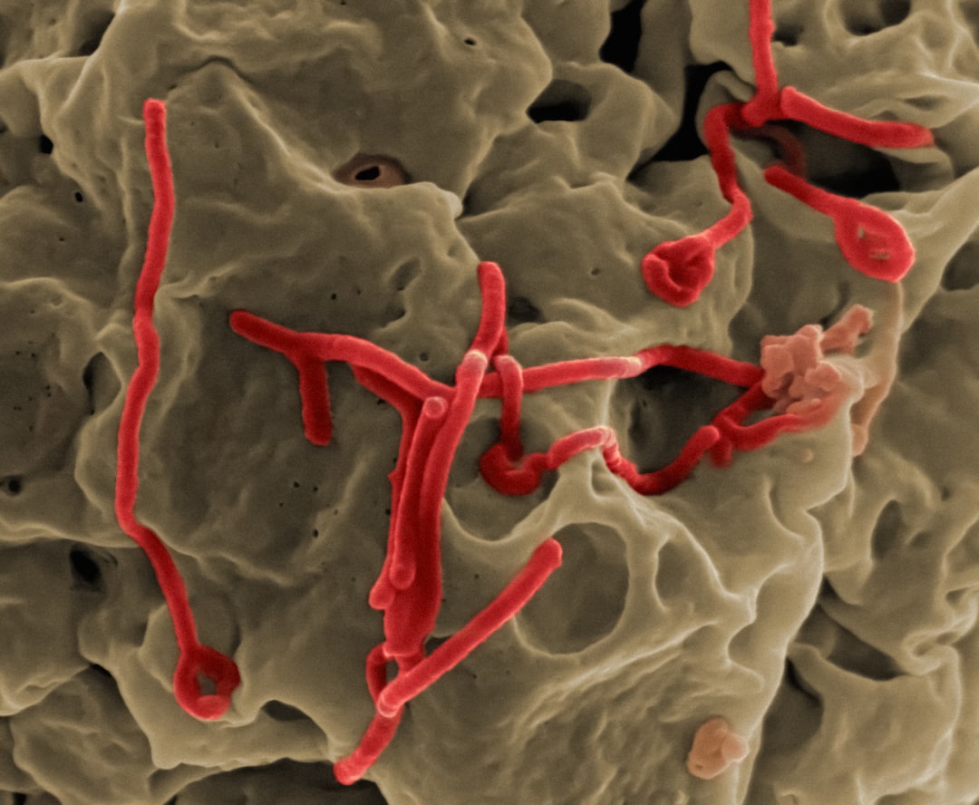 Syphilis