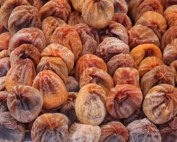 영동 곶감축제_10