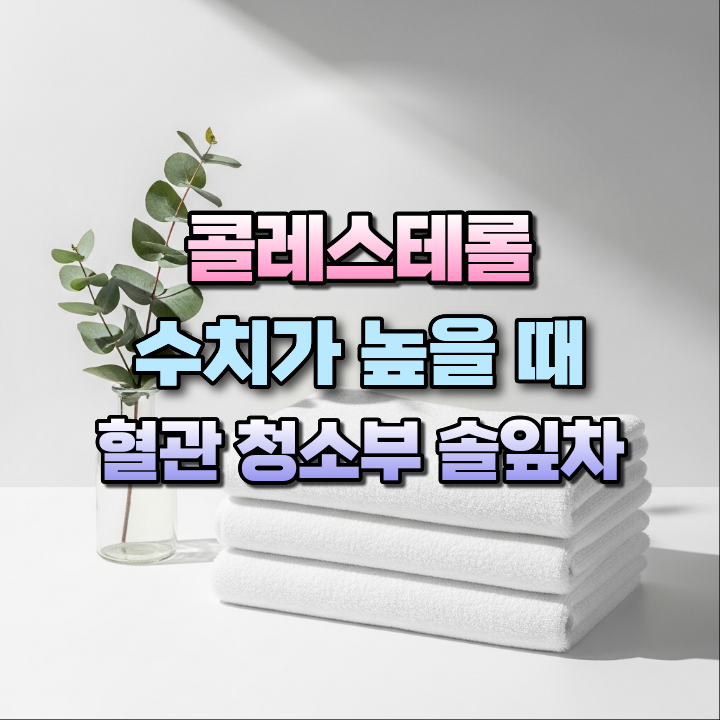콜레스테롤수치가높을때마시는솔잎차