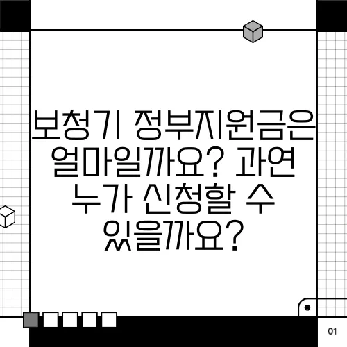 보청기 정부지원금은 얼마일까요? 과연 누가 신청할 수 있을까요?