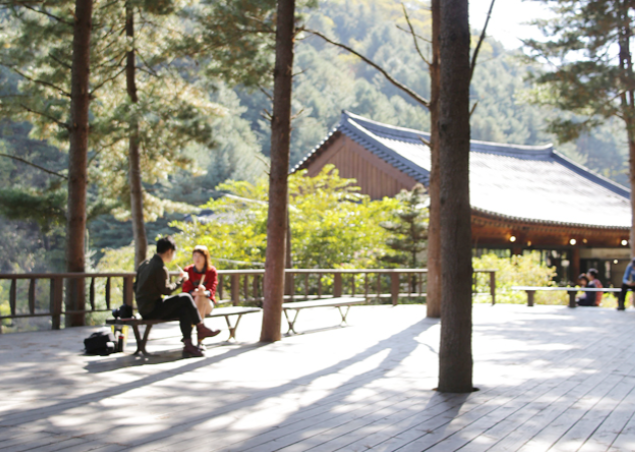 아침고요수목원 수국전시회