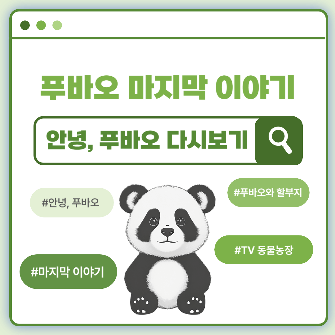 안녕 푸바오 마지막 방송 동물농장 실시간 다시보기
