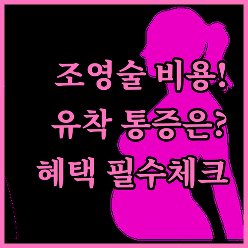 나팔관 조영술 비용 혜택과 나팔관 유..