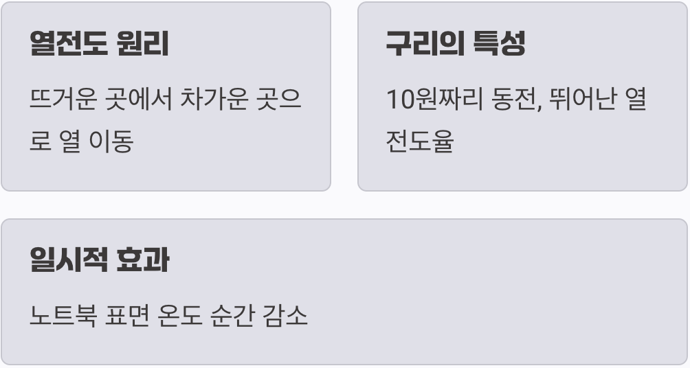 동전의 마법, 그 과학적 원리