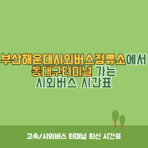 부산해운대시외버스정류소에서 동대구터미널&nbsp;가는 시외버스 시간표 최신정보