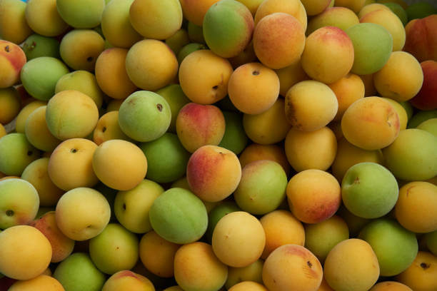 매실과-매실-액기스의-효능들