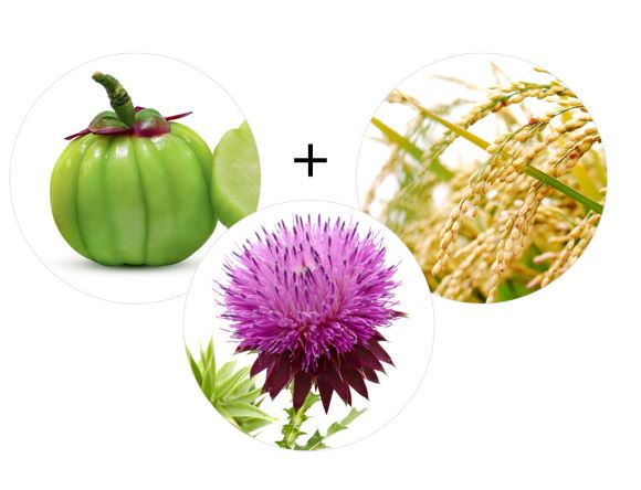 파란통-다이어트-효과