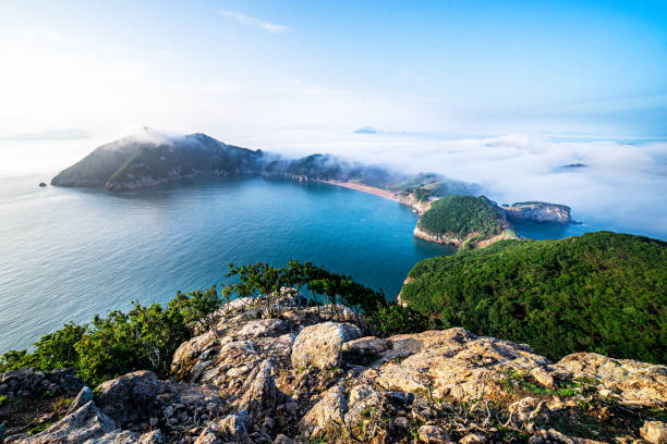 천리포수목원목련축제