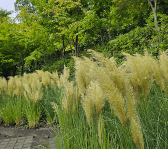 화담숲 예매하기