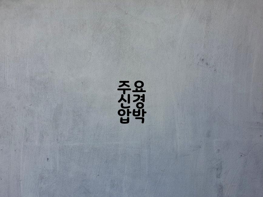 주요 신경 압박