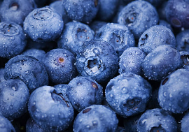 블루베리