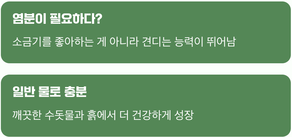 바닷가 식물에 대한 가장 큰 오해