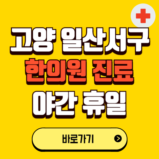 고양시 일산서구 야간 휴일 한의원 한방병원 찾기 ❘ 24시 일요일 주말 연휴 응급진료 추천 잘하는 곳