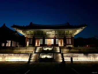 창경궁 야간개장 물빛연화 창경궁 야간개장 인터넷예매 예매 요령_17