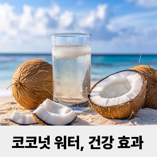 코코넛 워터