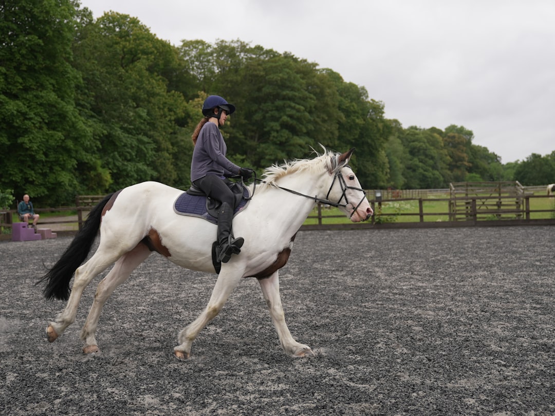 Trot