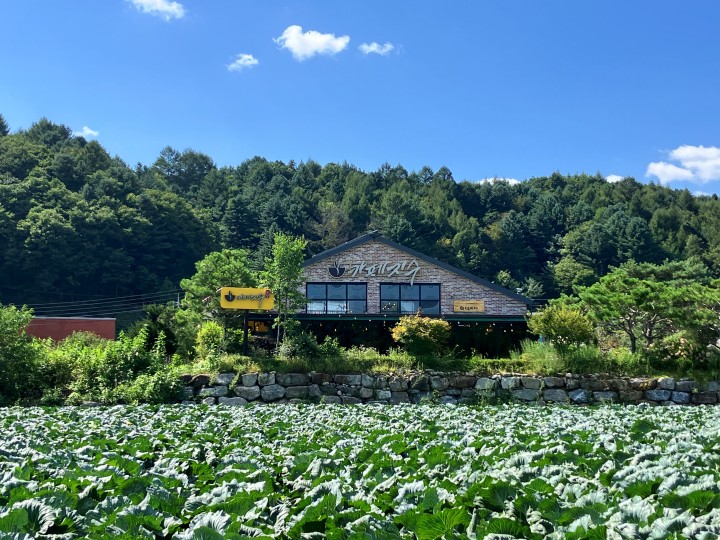 평창 봉평 베이커리 카페