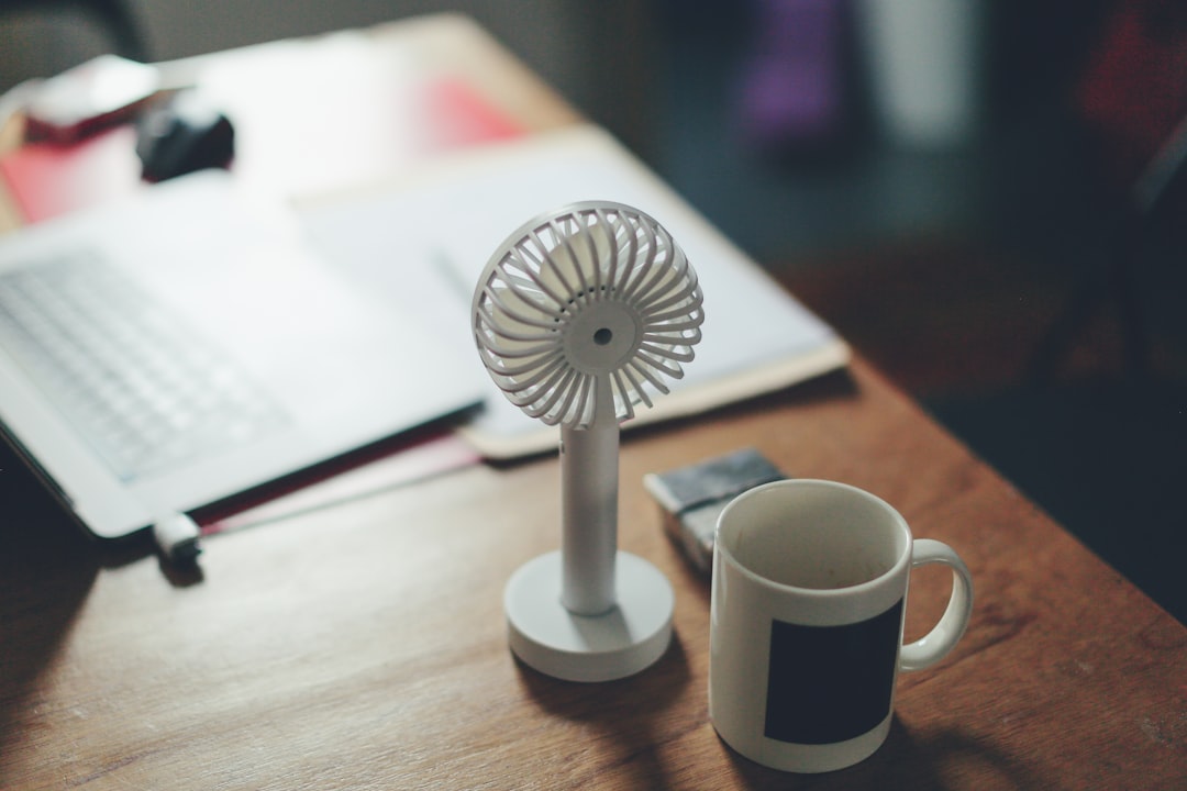 Fan