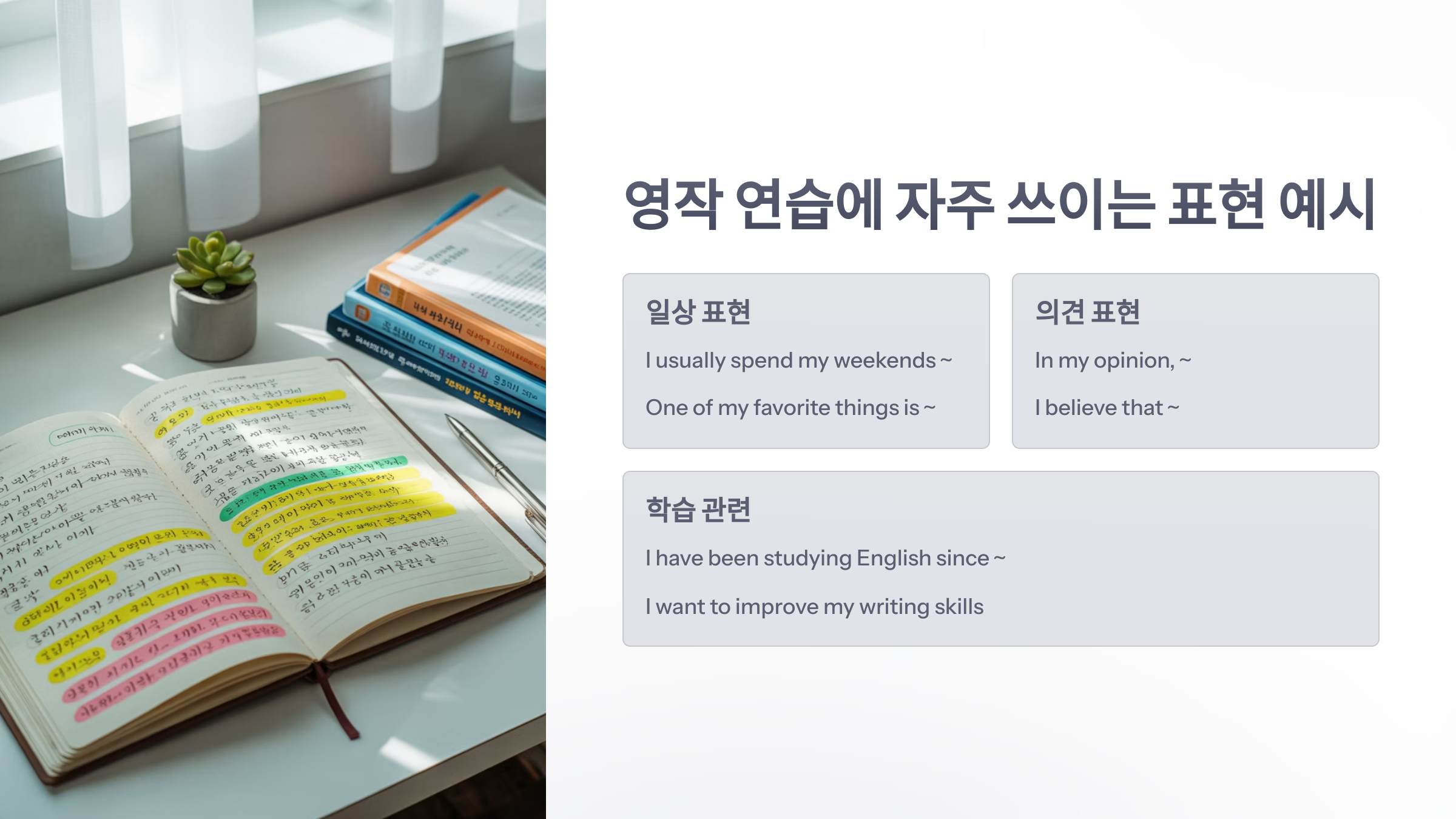 참조-영작-연습-사이트-5